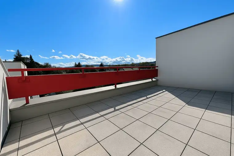 Dr. Markus Mannlicher, Dr. Mannlicher Immobilien GmbH