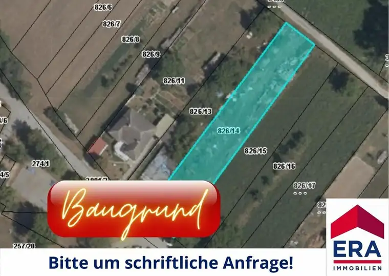 Ringelsdorf KAUF - Baugrundstück