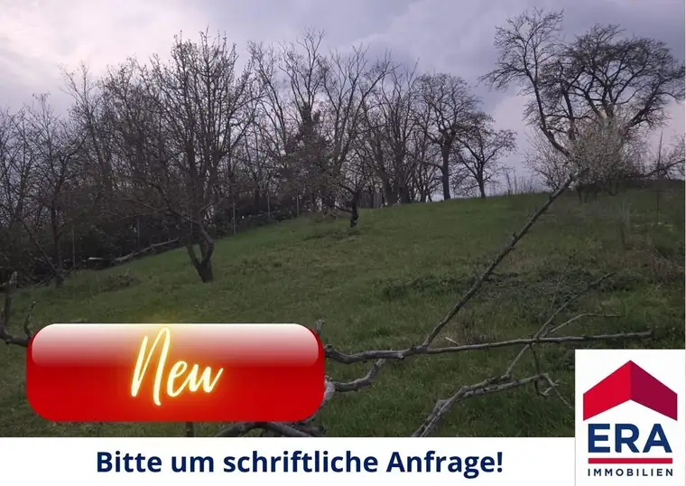 Grundstück zur Miete in Mistelbach - Gartenparadies mit Altbaumbestand