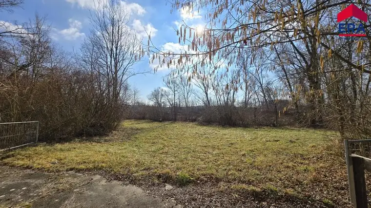 Rannersdorf KAUF - Beeindruckendes Herrenhaus/Mühle auf imposanten Areal eventuell Pferdeoase