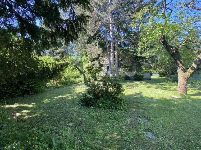 Eigengrund in Langenzersdorf