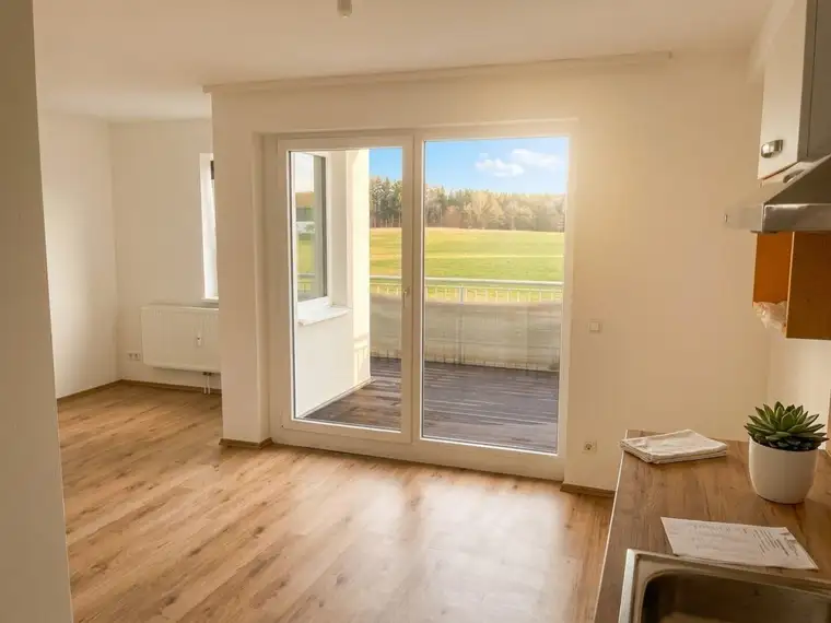 Fünfzimmer Maisonette mit Balkon ab 1. September oder später