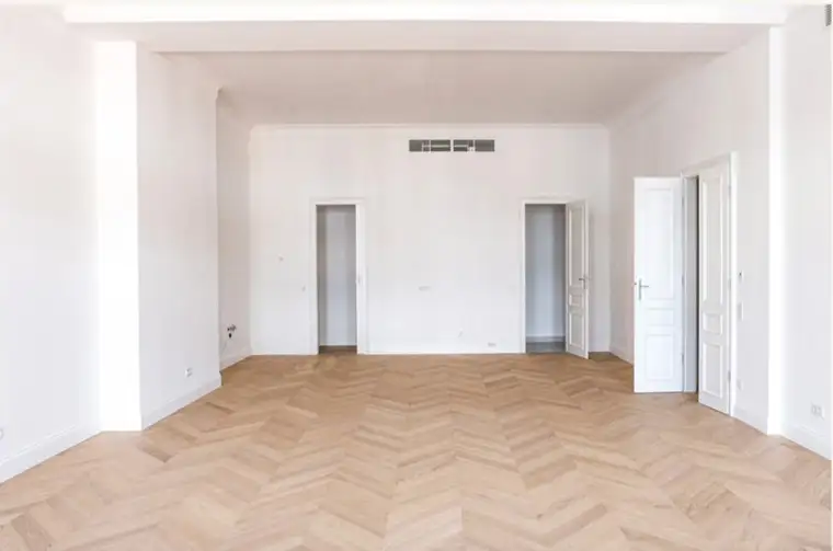 Einzigartige luxuriöse Wohnung im Palais Schottenring