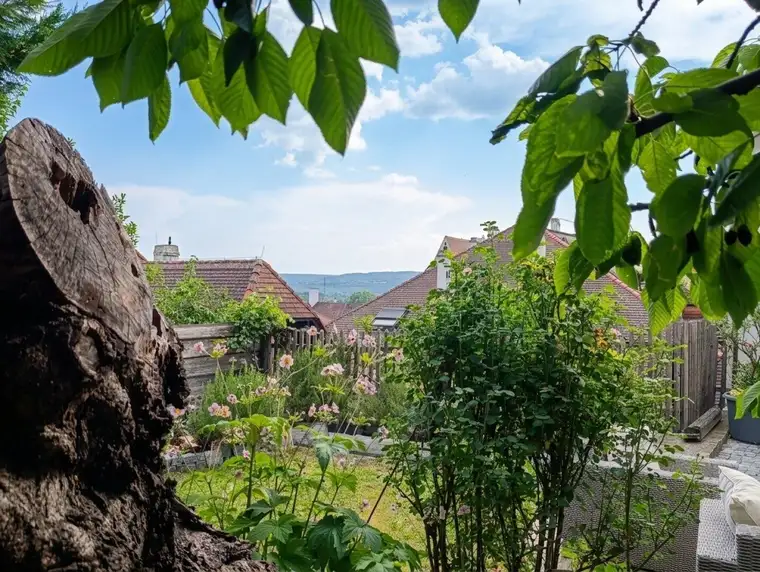KREMS AN DER DONAU | HISTORISCHES JUWEL MIT GARTEN &amp; WEINKELLER