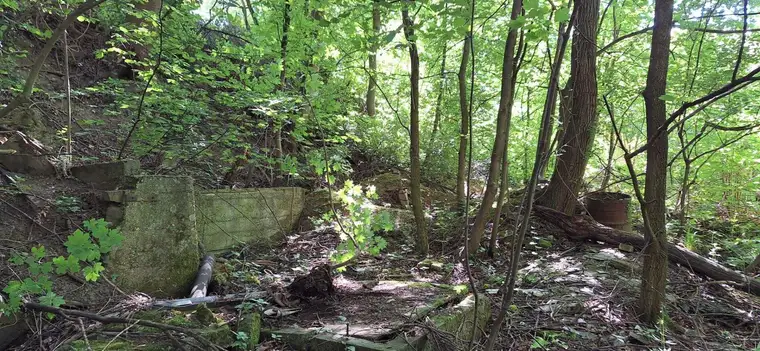 2539 m² Grünland für Naturliebhaber zu verkaufen! Mit atemberaubendem Ausblick, Nähe Augustinerwald!