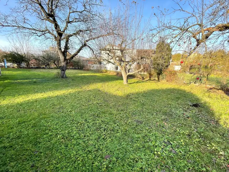 Sonniger Baugrund in ruhiger Stadtlage