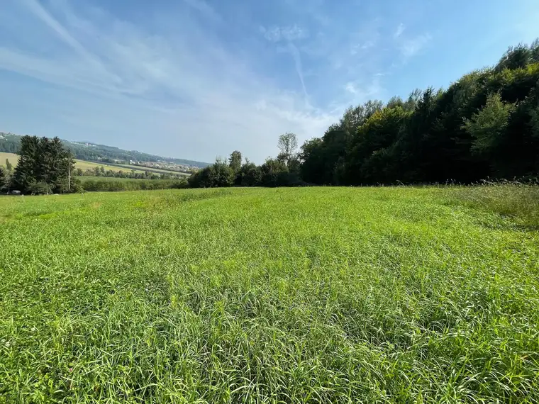 Traumhaftes Grundstück mit Fernblick