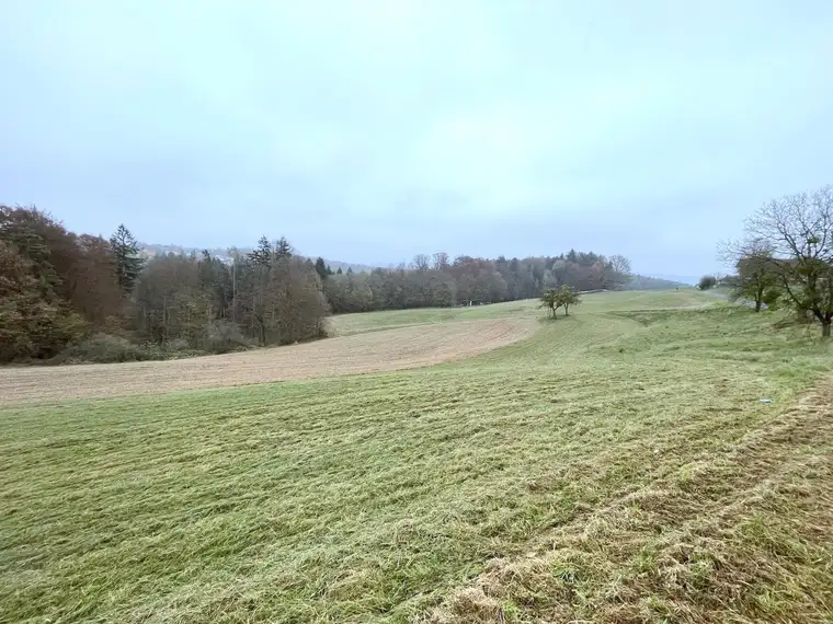 Großzügige landwirtschaftliche Flächen