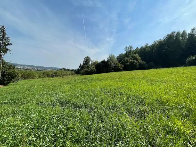 Traumhaftes Grundstück mit Fernblick