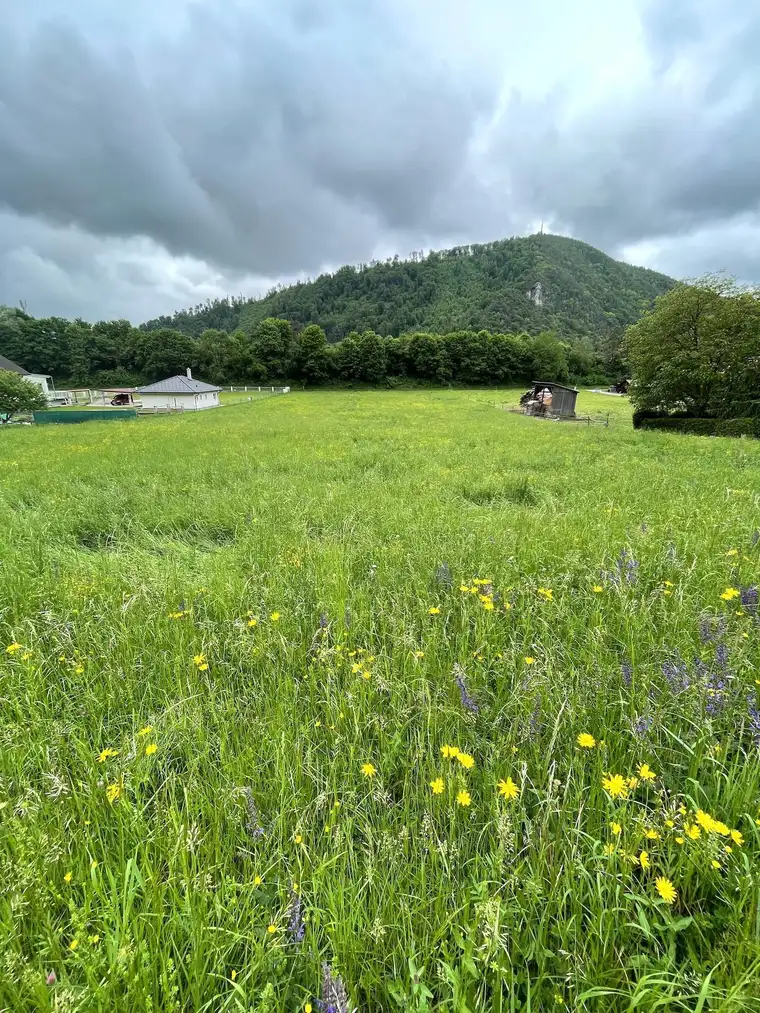 Weitläufiges Baugrundstück in bester Lage