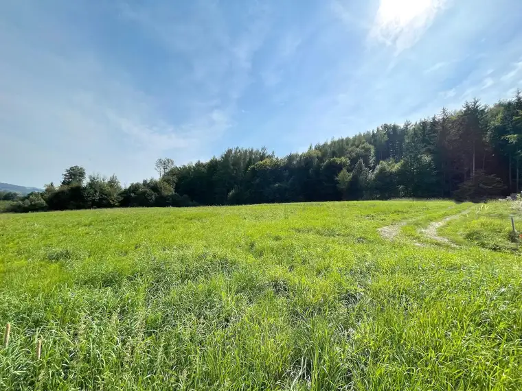 Ihr zukünftiges Zuhause: Grundstück in Ruhelage