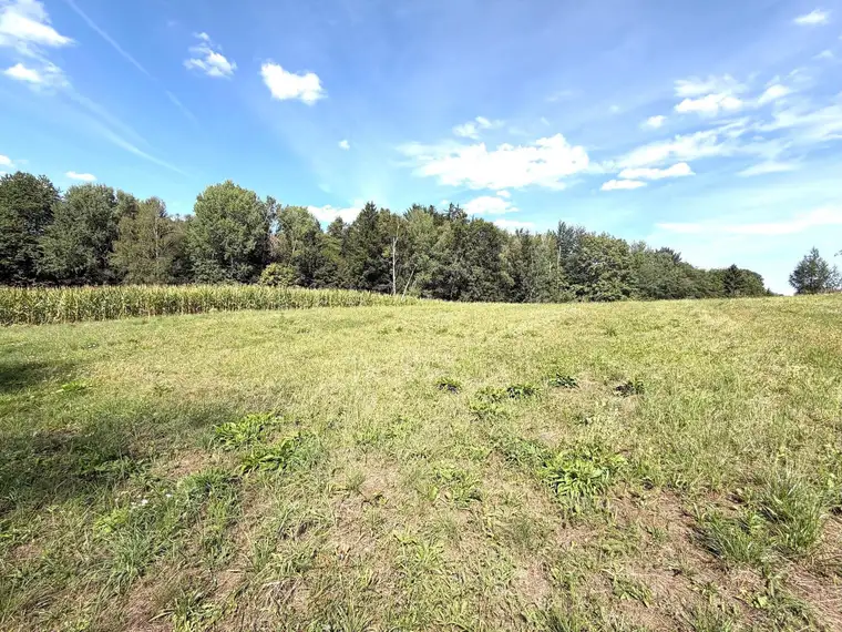 Wald und Freiland – ideale Ergänzung für Ihr Forstgebiet und Ihre landwirtschaftlichen Flächen