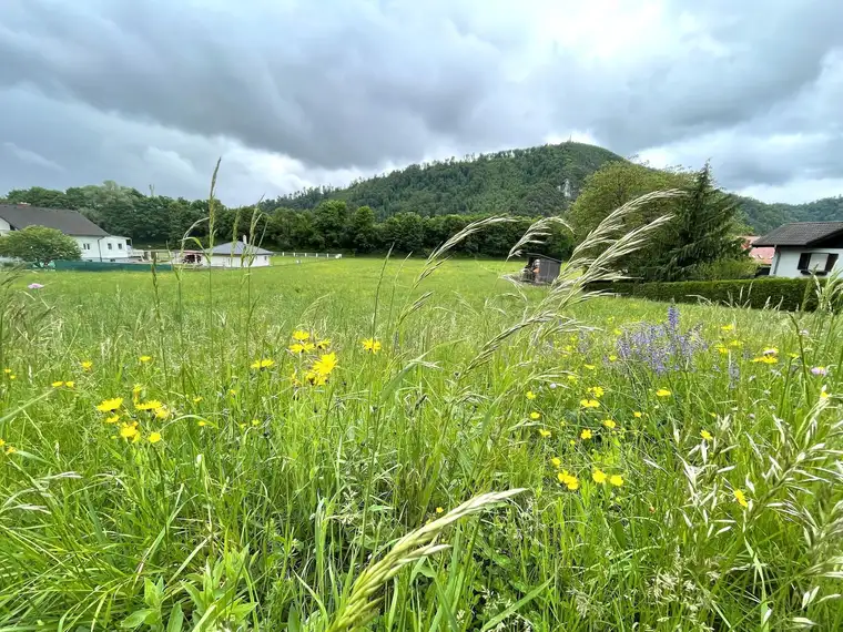 Attraktives Bauträgergrundstück in gefragter Lage mit perfekter Anbindung
