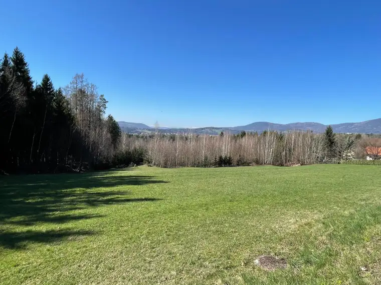 Sonniger Baugrund im Einklang mit der Natur