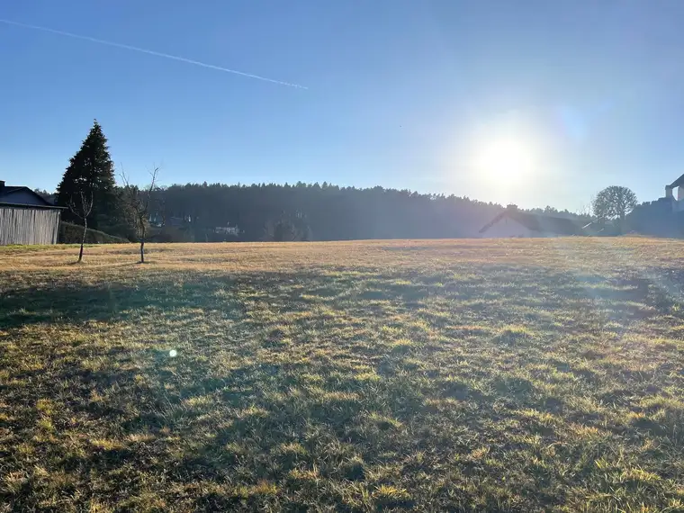 Sonniger Baugrund mit Fernblick