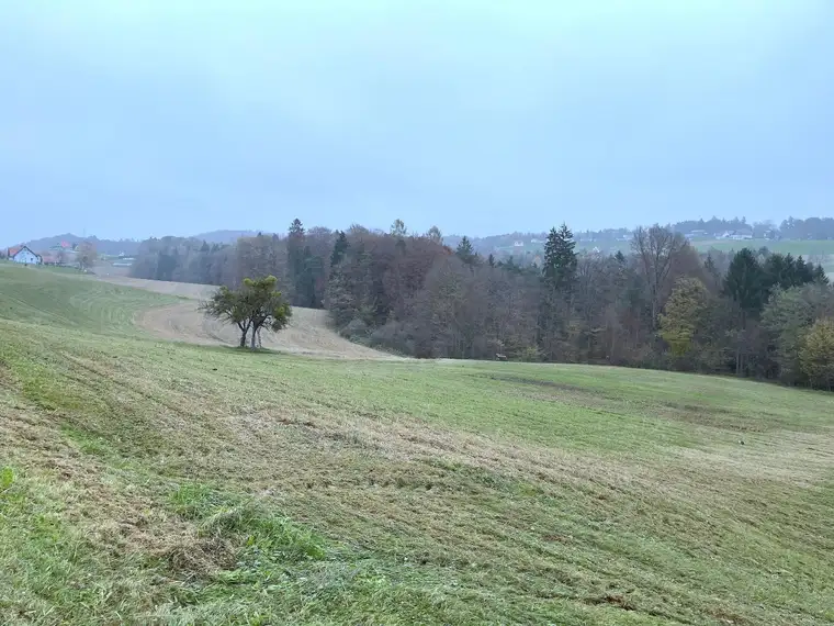 Zusammenhängende Grundstücksflächen für landwirtschaftliche Nutzung