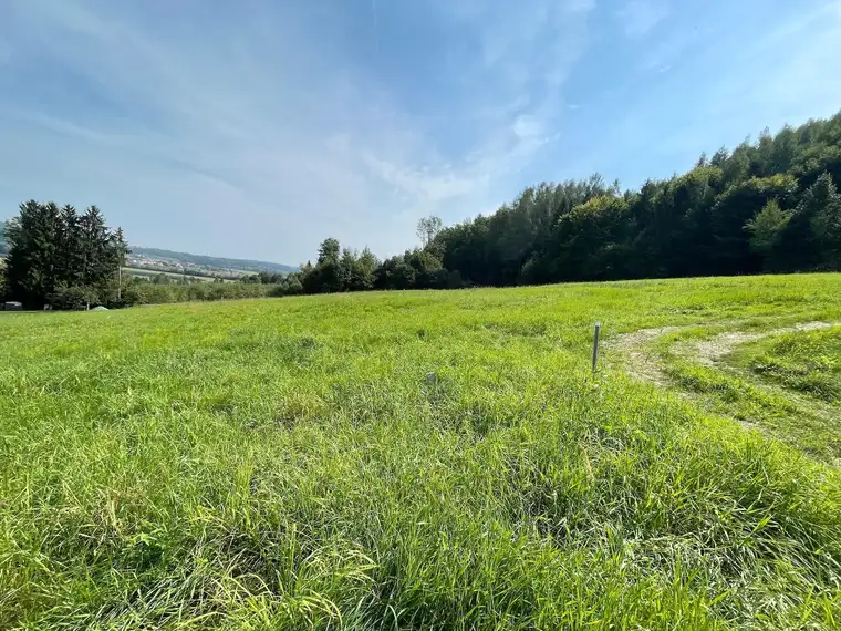 Idyllische Grundstücke in ruhiger Ortsrandlage