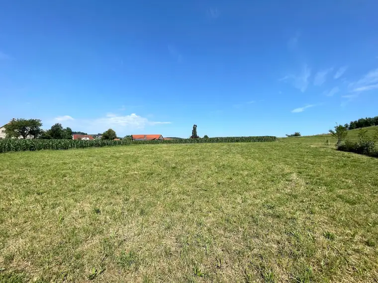 Sonniger Baugrund in Ruhelage