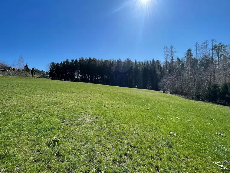 Bauträger aufgepasst: Sonniges Grundstück in idyllischer Ruhelage