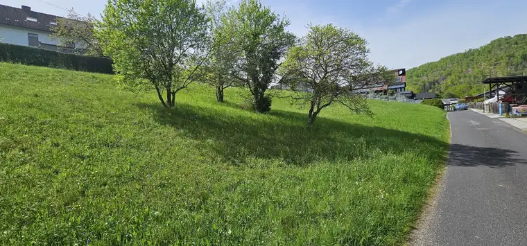 10 Min von Graz - großzügiges, sonniges, Grundstück in leichter Hanglage