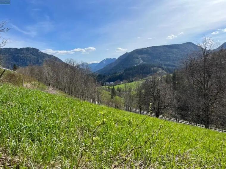 MARIAZELL - sonniger Bergblick - Grundstück, unweit entfernt vom Zentrum unseres schönen Mariazells!