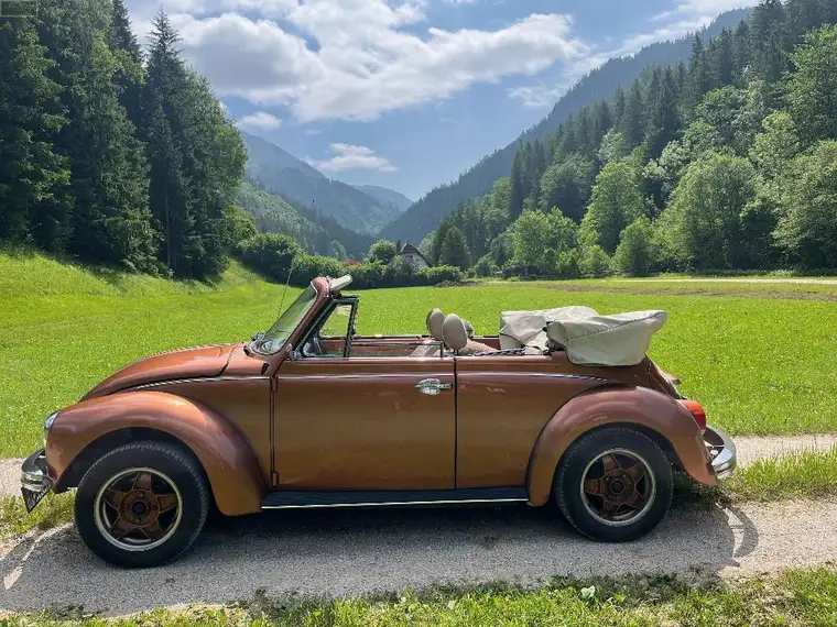 MARIAZELLER LAND - in einem traumhaften Seitental - Haus mit extremen Potential !