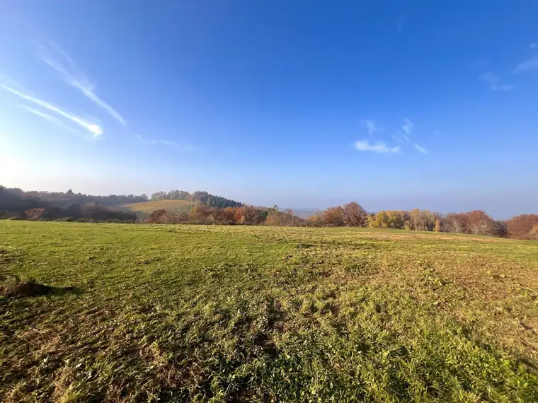 ZUM KAUF: Grundstück in der malerischen Südsteiermark