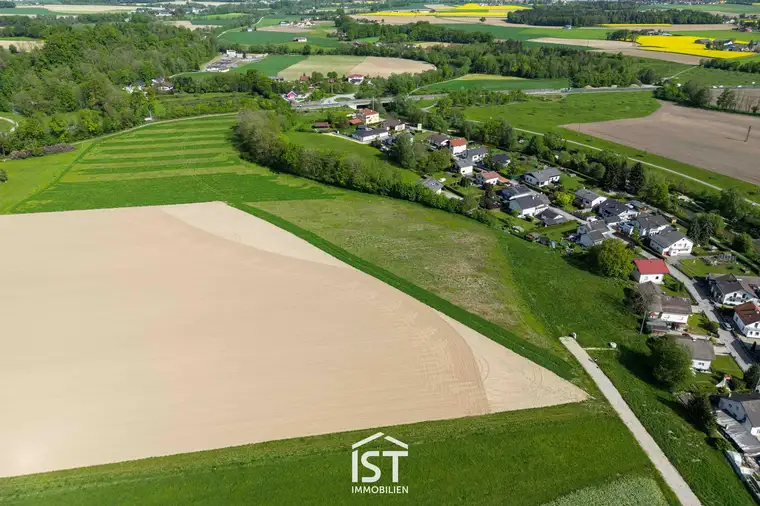 Altheim - Luckner-Gründe: Baugrundstück Nr. 5