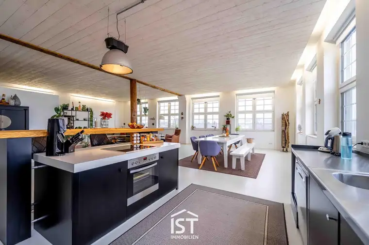 Stilvolle Loft mit Lift über den Dächern der Stadt