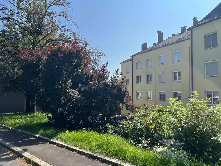 Paradies am Römerberg mit 3Zimmer und 84m2-Top Lage, helle Räume, Balkon, Garage
