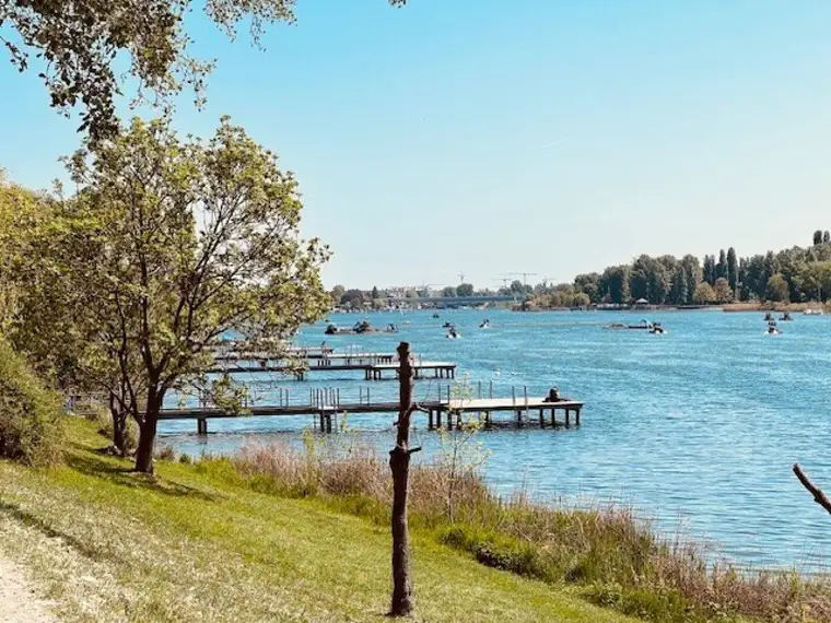 Dachgeschoss mit Blick zur Alten Donau