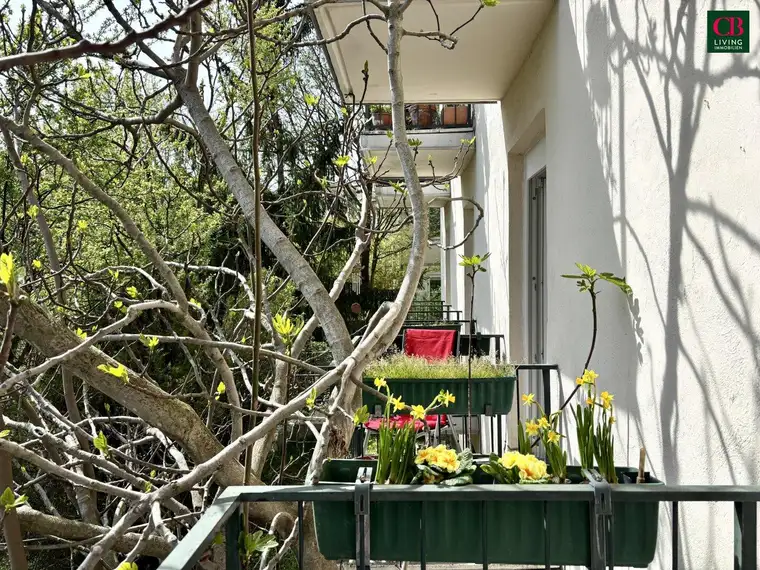 Ein Ort zum Durchatmen – Lichtdurchflutetes Refugium in Pötzleinsdorf