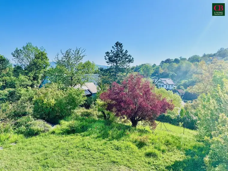 GRUNDSTÜCK MIT TRAUMHAUS UND TRAUMBLICK AM ÖDBERG / SACHSENVIERTEL