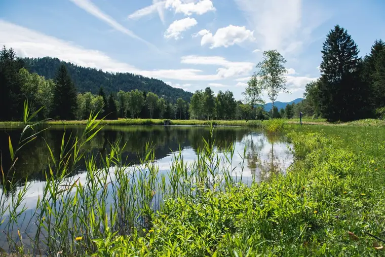 NATURPARADIES LÄNGSEE IN KÄRNTEN! NEUE 43 m² FERIENWOHNUNG MIT PRIVATTEICH! NEUBAU - LETZTE CHANCE!