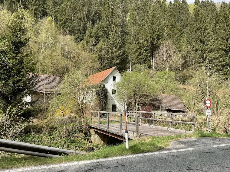 FORSTWIRTSCHAFT MIT HOFSTELLE IN HÜTTENBERG - GEBÄUDE ABBRUCHREIF