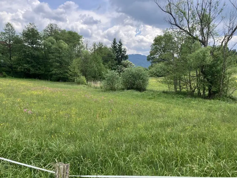 BAULAND DORFGEBIET! TRAUMHAFTES BAUGRUNDSTÜCK IN ST. GEORGEN AM LÄNGSEE