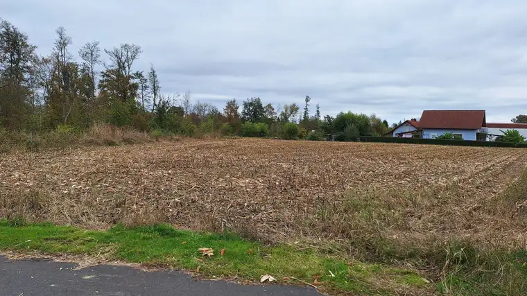 Perfekte Gewerbefläche in Bad Radkersburg - 7874m² für effizientes Gewerbe
