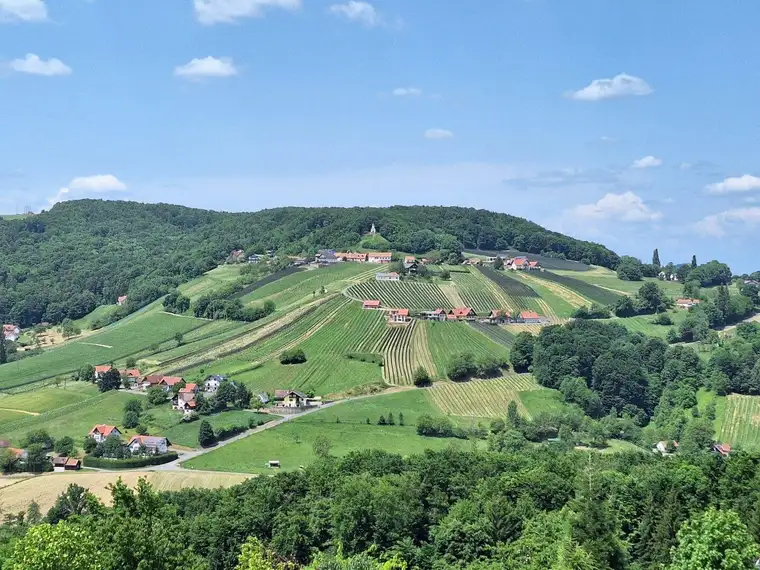 Touristisch ausgewiesenes Betriebsbauland in Waltra, St. Anna am Aigen Südoststeiermark - 110.456m² zum Kauf !