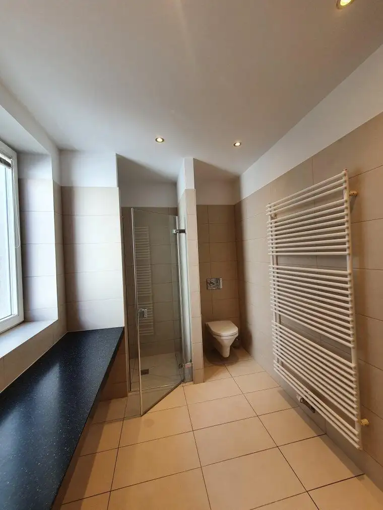 Attraktive 2 Zimmer Dg-Wohnung mit Terrasse und wunderbarem Ausblick - Mariahilfer Straße