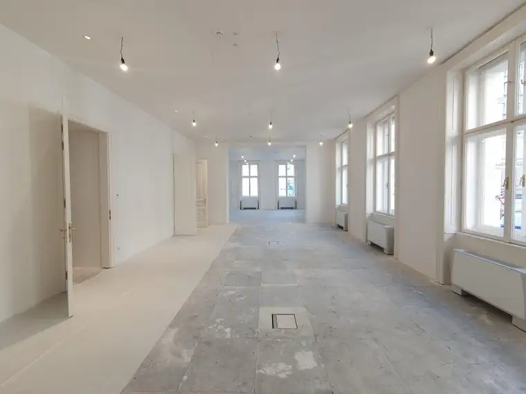 First Occupancy — Prestigious Office Space on Rathausstraße - 1,293.54 m²
