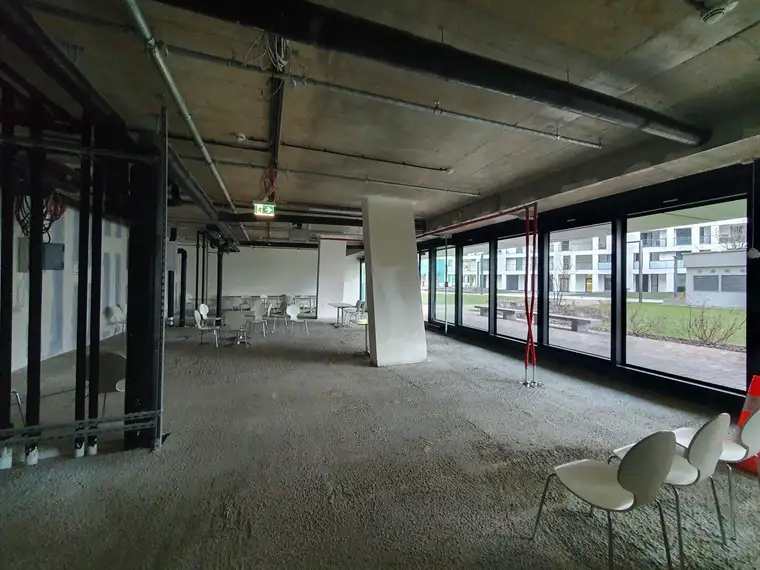 ERSTBEZUG - EG-Büro oder Studio bei den DC-Flats