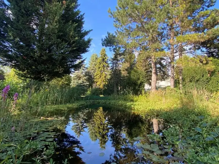 Preisreduktion! charmantes Einfamilienhaus mit gr. Garten und Schwimmteich in ruhiger Lage von 1220 Wien (mit Erweiterungsmöglichkeit)