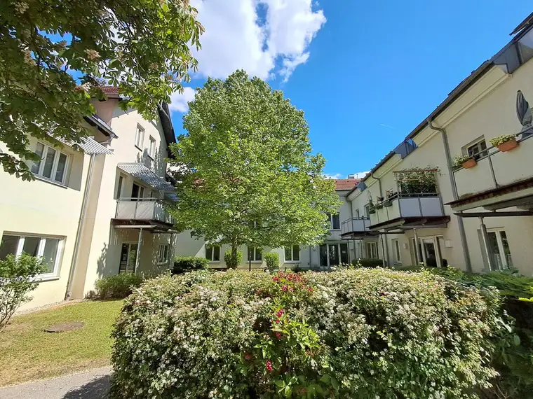 Hohlfeldergasse 28-30/18
