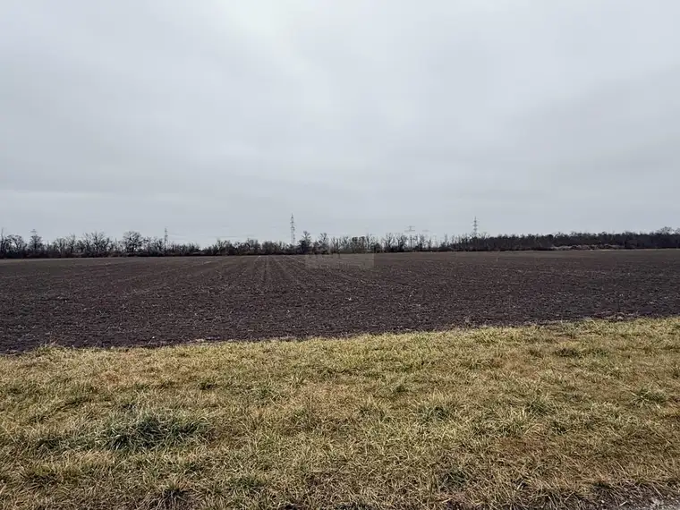 Großzügiges Grundstück zur landwirtschaftlichen Nutzung in Essling zu verkaufen!
