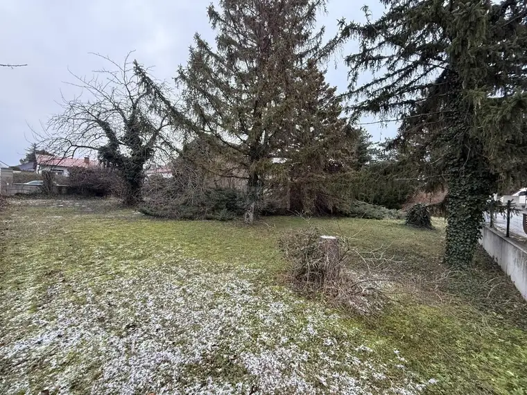 Großzügiges Eckgrundstück mit Altbestand in Lanzendorf zu verkaufen!