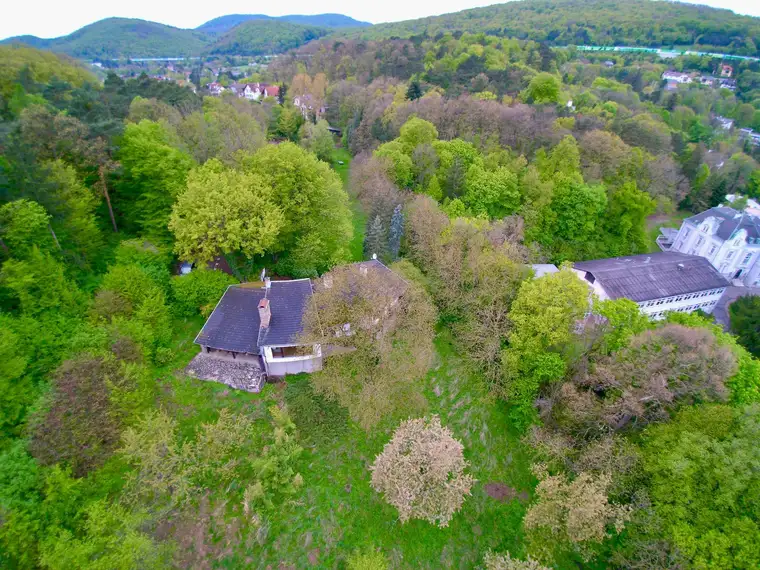 Privates Paradies vor den Toren Wiens – Parkgrundstück mit Erweiterungsoption auf über 30.000 m².