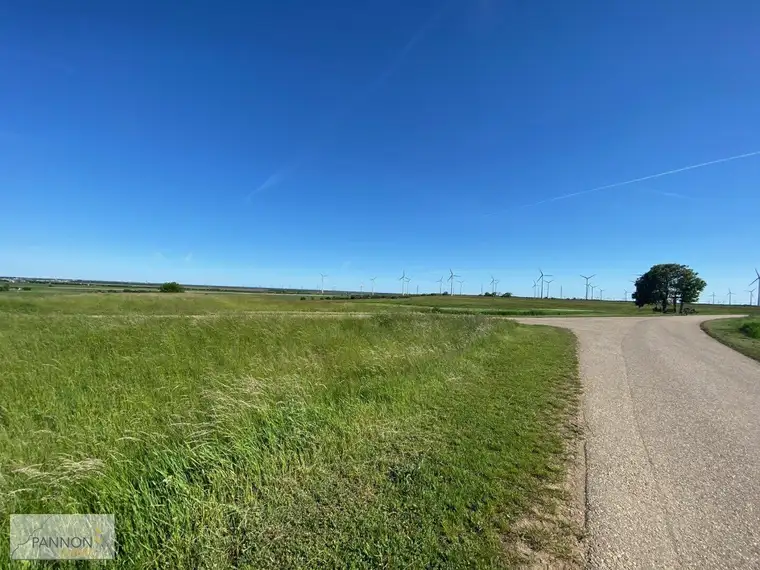 Nickelsdorf -sonniges Grundstück in absoluter Ruhelage