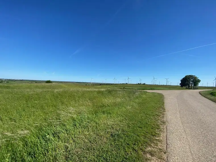 Nickelsdorf -sonniges Grundstück in absoluter Ruhelage