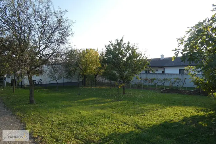 DIE NATUR VOR DER HAUSTÜR