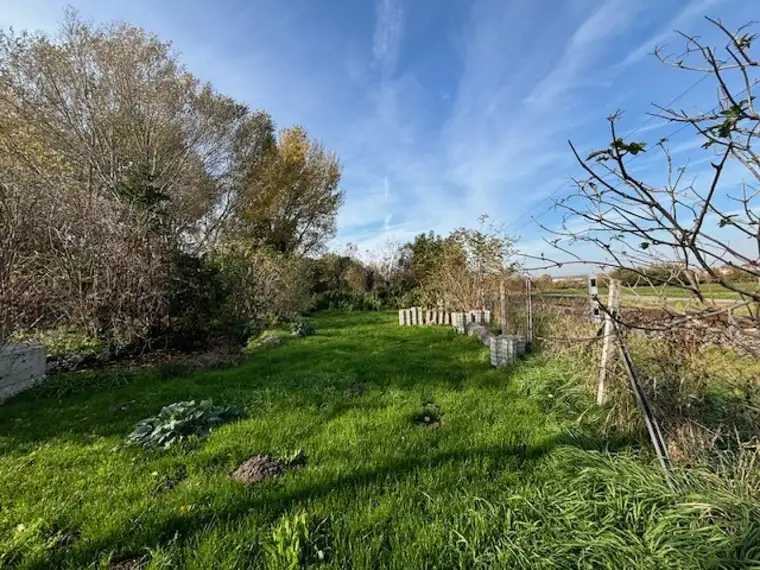 Exklusives Traumgrundstück für Ihr Eigenheim in Neusiedl am See